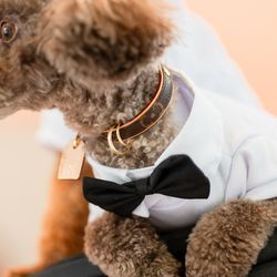 クルヴェット名古屋の写真12枚目