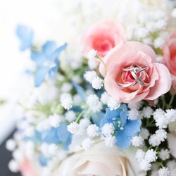 ララシャンス岡崎迎賓館の写真28枚目