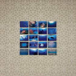 アクアガーデンテラスの写真16枚目