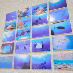 アクアガーデンテラスの写真21枚目