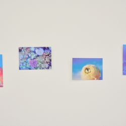 アクアガーデンテラスの写真23枚目