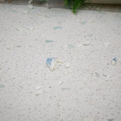 アクアガーデンテラスの写真23枚目