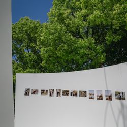 Mia Viaの写真36枚目