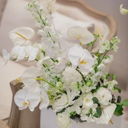 Mia Viaの写真35枚目