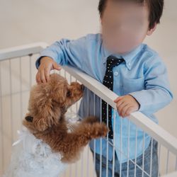 アイネス ヴィラノッツェ オーシャンポートサイドの写真28枚目