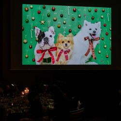 キンプトン新宿東京の写真11枚目