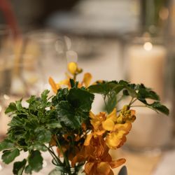 TOASTの写真16枚目