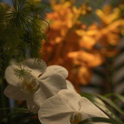 TOASTの写真34枚目