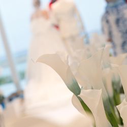 Fish Bank TOKYOの写真20枚目