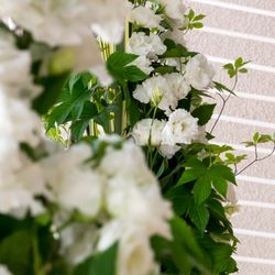 パレスホテル東京の写真24枚目