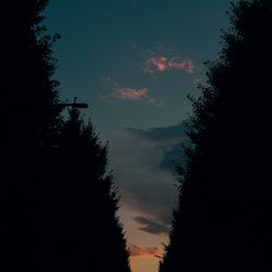 TRUNK BY SHOTO GALLERYの写真35枚目