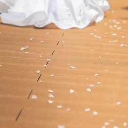 東京會舘の写真13枚目