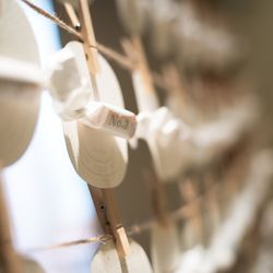 アーフェリーク白金の写真8枚目