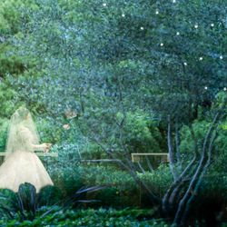 TIAD, オートグラフ コレクションの写真4枚目