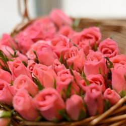 ハートコート横浜の写真17枚目