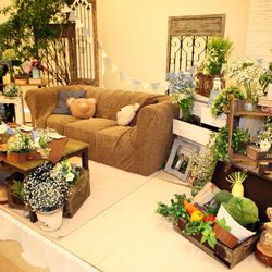 AILES FORTUNAの写真4枚目