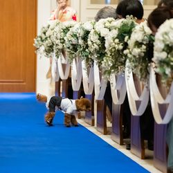 アニヴェルセル みなとみらい横浜の写真25枚目