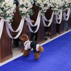 アニヴェルセル みなとみらい横浜の写真2枚目