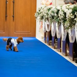 アニヴェルセル みなとみらい横浜の写真26枚目