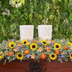 ララシャンスベルアミー 鳥栖の写真36枚目