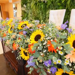 ララシャンスベルアミー 鳥栖の写真11枚目