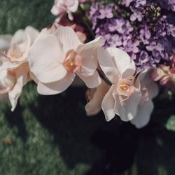 ザ・ルイガンズ スパ&リゾートの写真25枚目