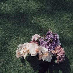 ザ・ルイガンズ スパ＆リゾートの写真36枚目