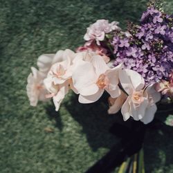 ザ・ルイガンズ スパ&リゾートの写真33枚目