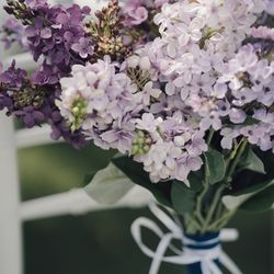 ザ・ルイガンズ スパ&リゾートの写真19枚目