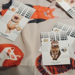 クアンティックの写真11枚目