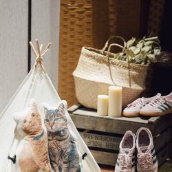 クアンティックの写真26枚目