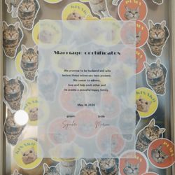 クアンティックの写真36枚目