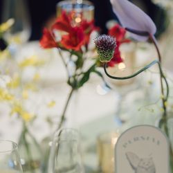 クアンティックの写真16枚目