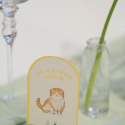 クアンティックの写真17枚目