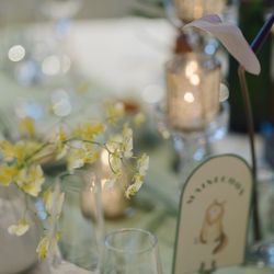 クアンティックの写真34枚目