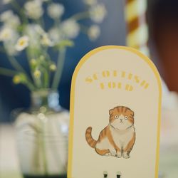 クアンティックの写真32枚目