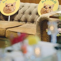 クアンティックの写真31枚目