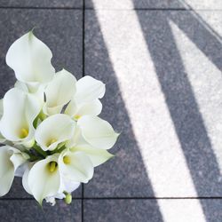 パレスホテル東京の写真29枚目