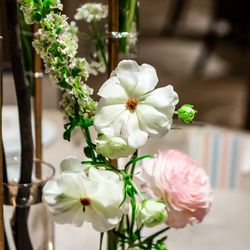 パレスホテル東京の写真14枚目