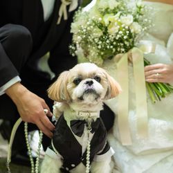 ザ・ガーデンオリエンタル大阪の写真24枚目