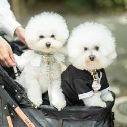 ザ・ガーデンオリエンタル大阪の写真11枚目