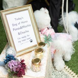 ザ・ガーデンオリエンタル大阪の写真23枚目