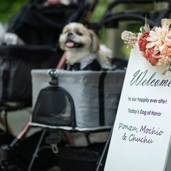 ザ・ガーデンオリエンタル大阪の写真9枚目