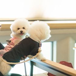 ザ・ガーデンオリエンタル大阪の写真16枚目