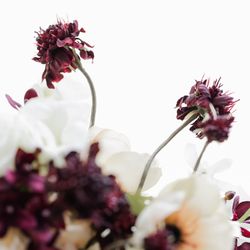 TOASTの写真32枚目