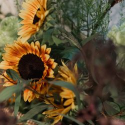 TOASTの写真24枚目