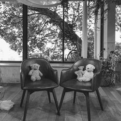 TOASTの写真7枚目