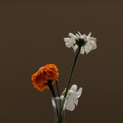 TOASTの写真11枚目