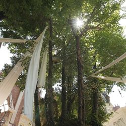 キャメロットヒルズの写真32枚目