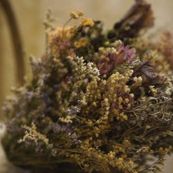 キャメロットヒルズの写真36枚目